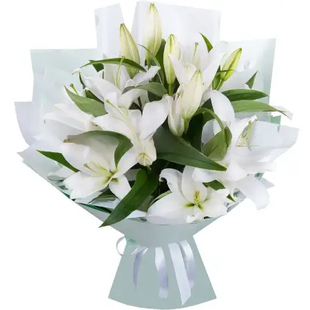 Лили Саншайн