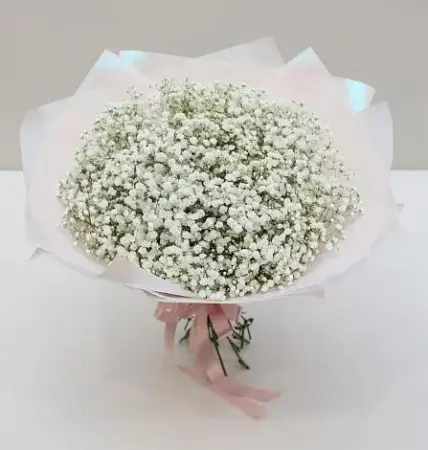 Белый снежок